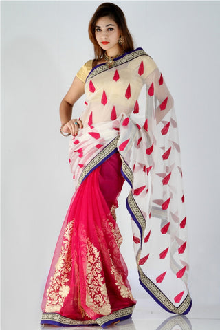Gorgeous half and half net saree